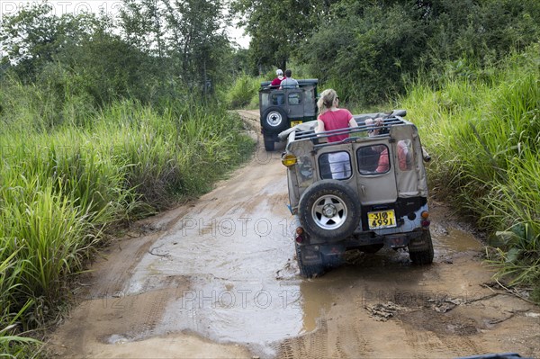 Elephant safari in Hurulu Eco Park biosphere reserve, Habarana, Anuradhapura District, Sri Lanka,