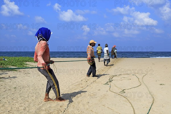 Traditional fishing hauling nets Nilavelli beach, near Trincomalee, Eastern province, Sri Lanka,