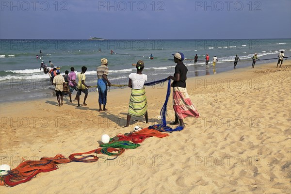 Traditional fishing hauling nets Nilavelli beach, near Trincomalee, Eastern province, Sri Lanka,