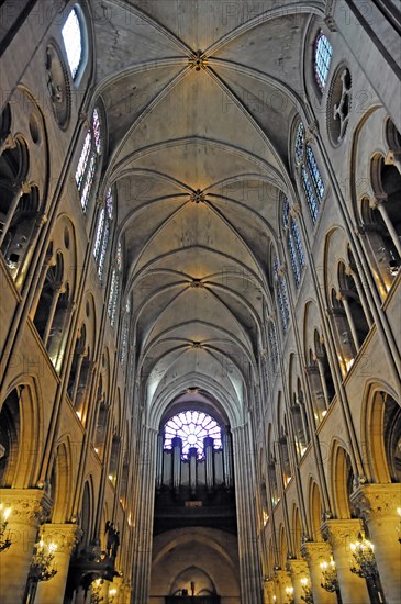 Ceiling view, Notre-Dame de Paris Cathedral, Ile de la Cite, 4th arrondissement, Paris, France,