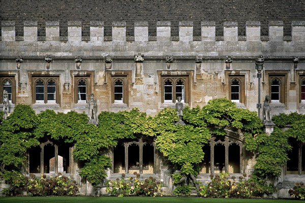 Cloisters of the Great Quad of the Magdalen College of the Oxford University, Oxfordshire, England,