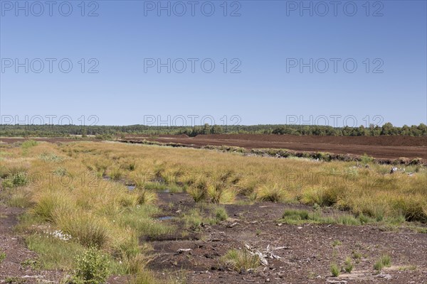 Peat extraction at Totes Moor, Tote Moor, raised bog near Neustadt am Ruebenberge, district of