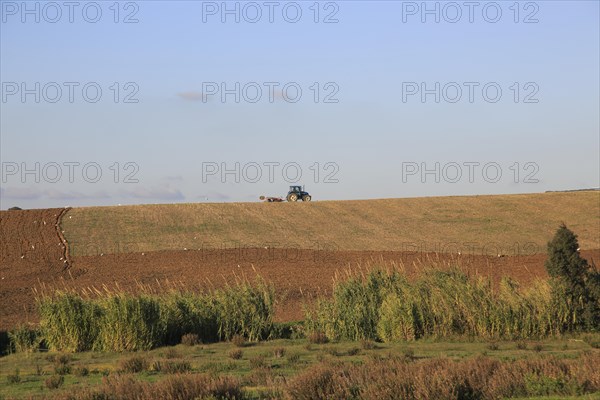 Tractor ploughing ridge along hillside in countryside near Vejer de la Fronterra, Cadiz Province,