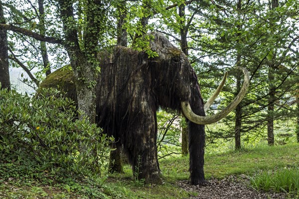 Replica of woolly mammoth (Mammuthus primigenius) at the Le Thot museum about prehistoric animals