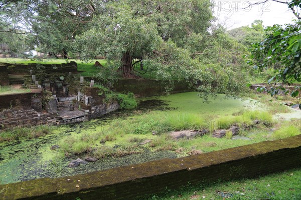 Royal Baths, Island Park, UNESCO World Heritage Site, the ancient city of Polonnaruwa, Sri Lanka,