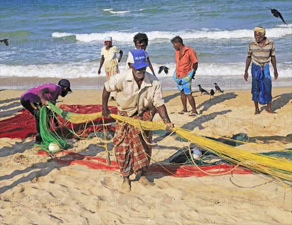 Traditional fishing hauling nets Nilavelli beach, near Trincomalee, Eastern province, Sri Lanka,