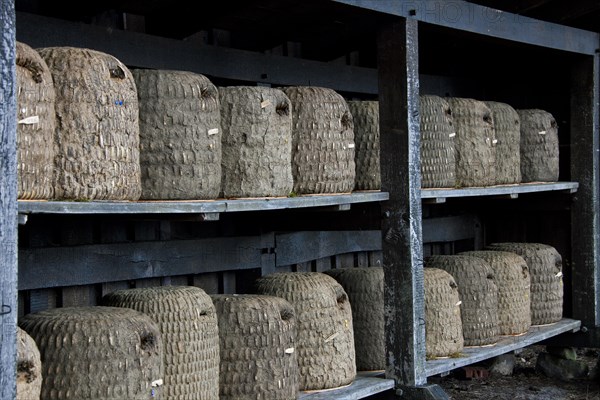 Bee hives, beehives, skeps in rustic shelter of apiary in the Lueneburg Heath, Lunenburg Heath,