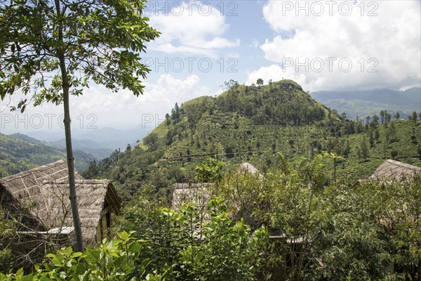 98 Acres resort luxury lodges, Ella, Badulla District, Uva Province, Sri Lanka, Asia view to Little