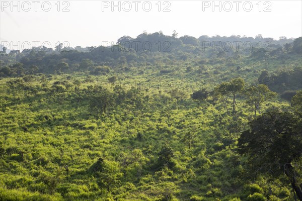 Landscape overview Hurulu Eco Park biosphere reserve, Habarana, Anuradhapura District, Sri Lanka,