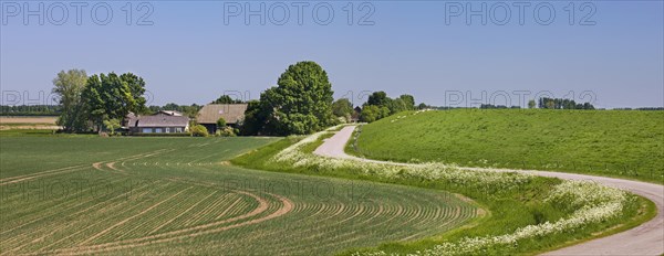Rural landscape showing winding road, farm with farmland and dyke, dike in spring at