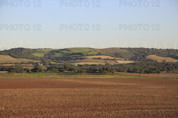 Farming landscape with wind turbines in distance, Vejer de la Frontera, Cadiz province, Spain,