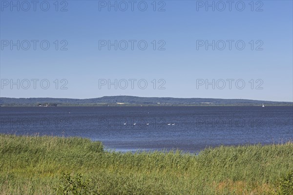 Steinhuder Meer, Lake Steinhude in the Hannoversche Moorgeest, Hanoverian Moor Geest in summer,