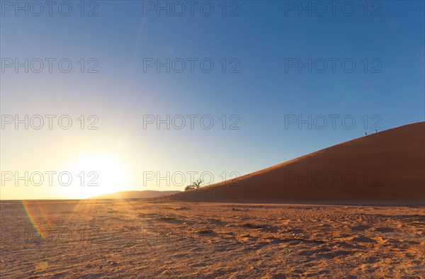 Sunrise over a vast desert landscape, Dune 45, Big daddy, sand dune, safari, wildlife, Etosha