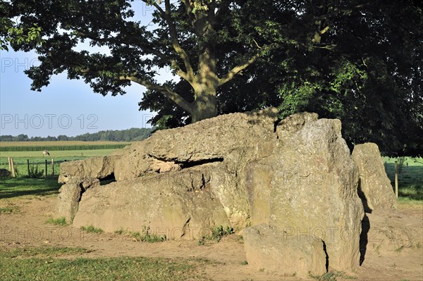 Megalithic Grand Dolmen de Weris made of conglomerate rock, Belgian Ardennes, Luxembourg, Belgium,