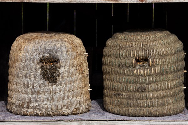 Bee hives, beehives, skeps in rustic shelter of apiary in the Lueneburg Heath, Lunenburg Heath,