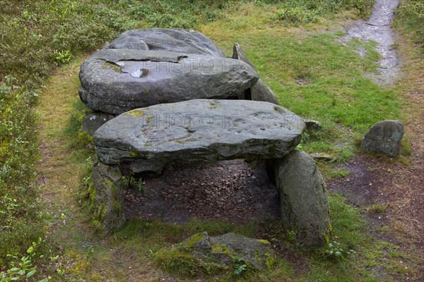 Seven Stone Houses, Sieben Steinhaeuser, dolmens from the neolithic funnelbeaker period at Bergen,