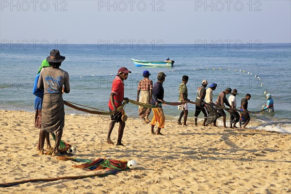 Traditional fishing hauling nets Nilavelli beach, near Trincomalee, Eastern province, Sri Lanka,