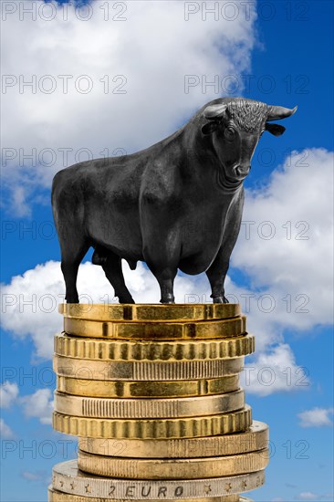 Bull market, bull on euro coins, cumulus clouds in front of blue sky, East Frisia, Lower Saxony,