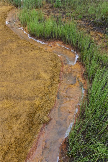 Paint Pots, iron-rich cold mineral springs in the Kootenay National Park, British Columbia, Canada,