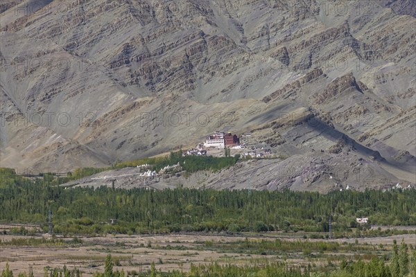 Matho Gompa, the Buddhist monastery of Central Ladakh, seen in mid-September, from the Thikse