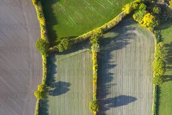 Aerial view over countryside showing bocage landscape with fields, meadows and pastures, patchwork