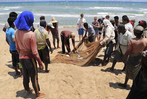 Traditional fishing hauling nets Nilavelli beach, near Trincomalee, Eastern province, Sri Lanka,