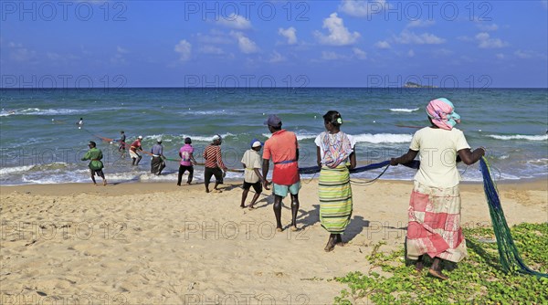 Traditional fishing hauling nets Nilavelli beach, near Trincomalee, Eastern province, Sri Lanka,