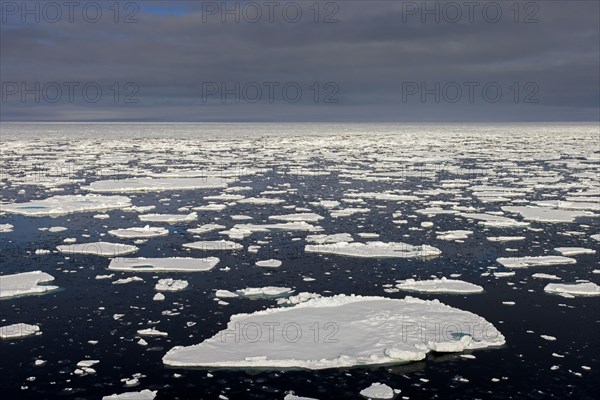 Sea ice, drift ice, ice floes floating in the Arctic Ocean at sunset, Nordaustlandet, North East
