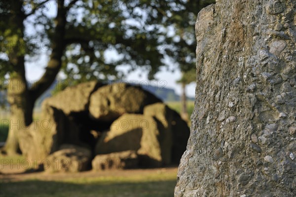 Megalithic Grand Dolmen de Weris and menhir made of conglomerate rock, Belgian Ardennes,