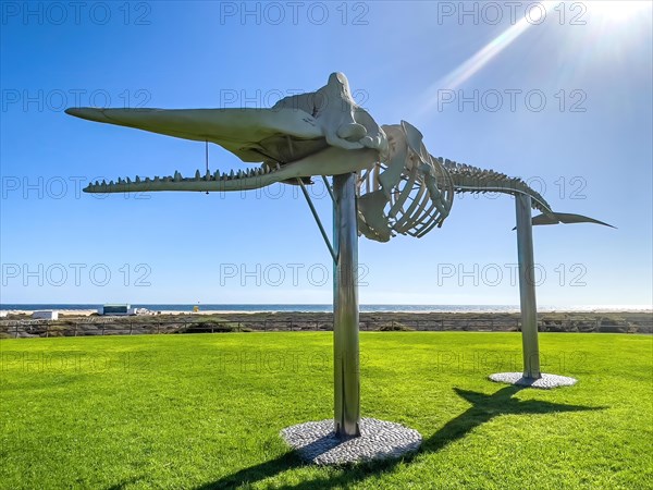 Sunbeam meets shines on stilts on public ground meadow in front of beach Matorral in Morro Jable on