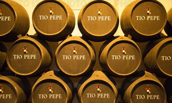 Oak barrels of maturing Tio Pepe fino sherry wine cellar, Gonzalez Byass bodega, Jerez de la