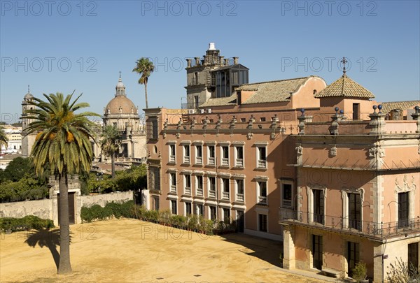 Historic palace building, Palacio de Villavicencio and gardens in the Alcazar, Jerez de la