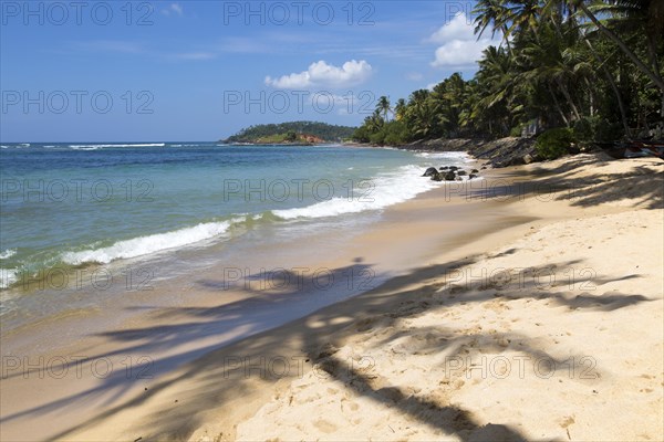 Tropical landscape of palm trees and sandy beach, Mirissa, Sri Lanka, Asia shadow of palm tree,