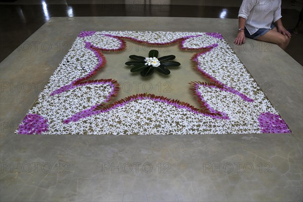 Frangipani petal picture in water Amaya Beach Resort and Spa hotel, Pasikudah Bay, Eastern