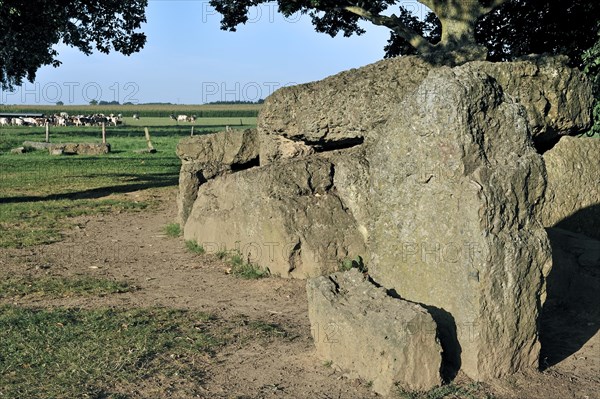 Megalithic Grand Dolmen de Weris made of conglomerate rock, Belgian Ardennes, Luxembourg, Belgium,
