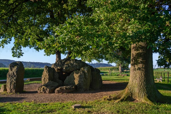 Grand Dolmen de Weris, megalithic gallery grave, chambered tomb near Durbuy in summer, province of