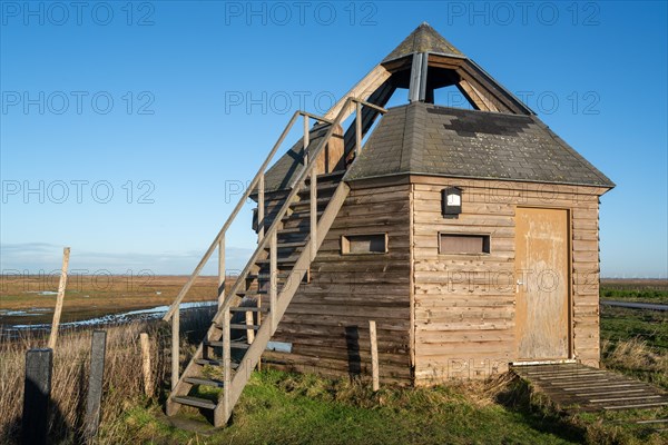 Bird hide at the nature reserve Verdronken Land van Saeftinghe, salt marsh of the Western Scheldt