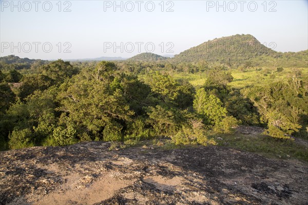 Landscape overview Hurulu Eco Park biosphere reserve, Habarana, Anuradhapura District, Sri Lanka,