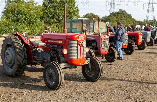 Vintage Massey Ferguson tractors at auction sale of vintage farming equipment, Campsea Ashe,