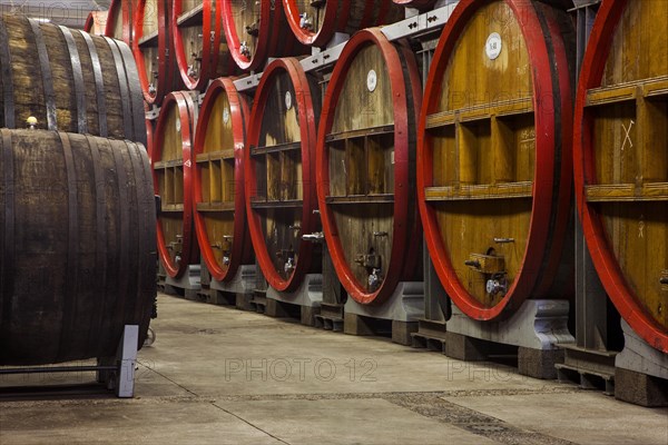 Oak barrels at Brouwerij Boon, Belgian brewery at Lembeek near Brussels, producer of geuze and