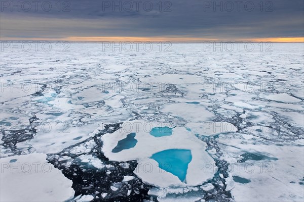 Sea ice, drift ice, ice floes floating in the Arctic Ocean at sunset, Nordaustlandet, North East