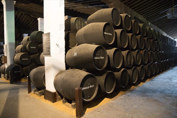 Oak barrels of maturing sherry wine in cellar, Gonzalez Byass bodega, Jerez de la Frontera, Cadiz