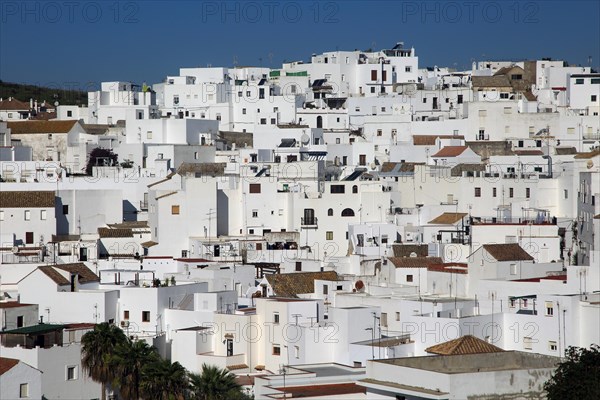 Pueblo blanco historic village whitewashed houses on hillside, Vejer de la Frontera, Cadiz
