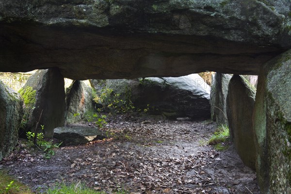 Seven Stone Houses, Sieben Steinhaeuser, dolmens from the neolithic funnelbeaker period at Bergen,