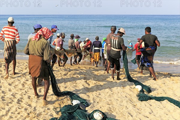 Traditional fishing hauling nets Nilavelli beach, near Trincomalee, Eastern province, Sri Lanka,