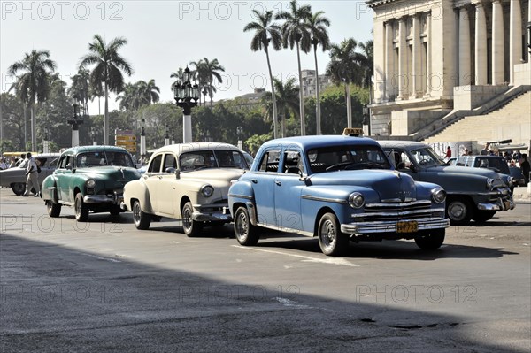 Several vintage cars from the 1950s in the centre of Havana, Centro Habana, Cuba, Greater Antilles,