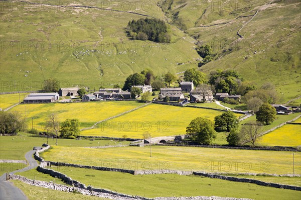 Halton Gill, Yorkshire Dales national park, England, UK
