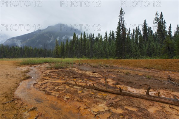 Paint Pots, iron-rich cold mineral springs in the Kootenay National Park, British Columbia, Canada,