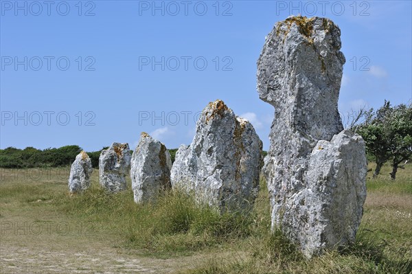 Megalithic standing stones, Alignements de Lagatjar at Crozon, Camaret-sur-Mer, Finistere,