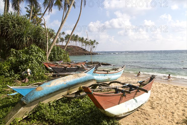 Brightly coloured fishing canoes under coconut palm trees of tropical sandy beach, Mirissa, Sri